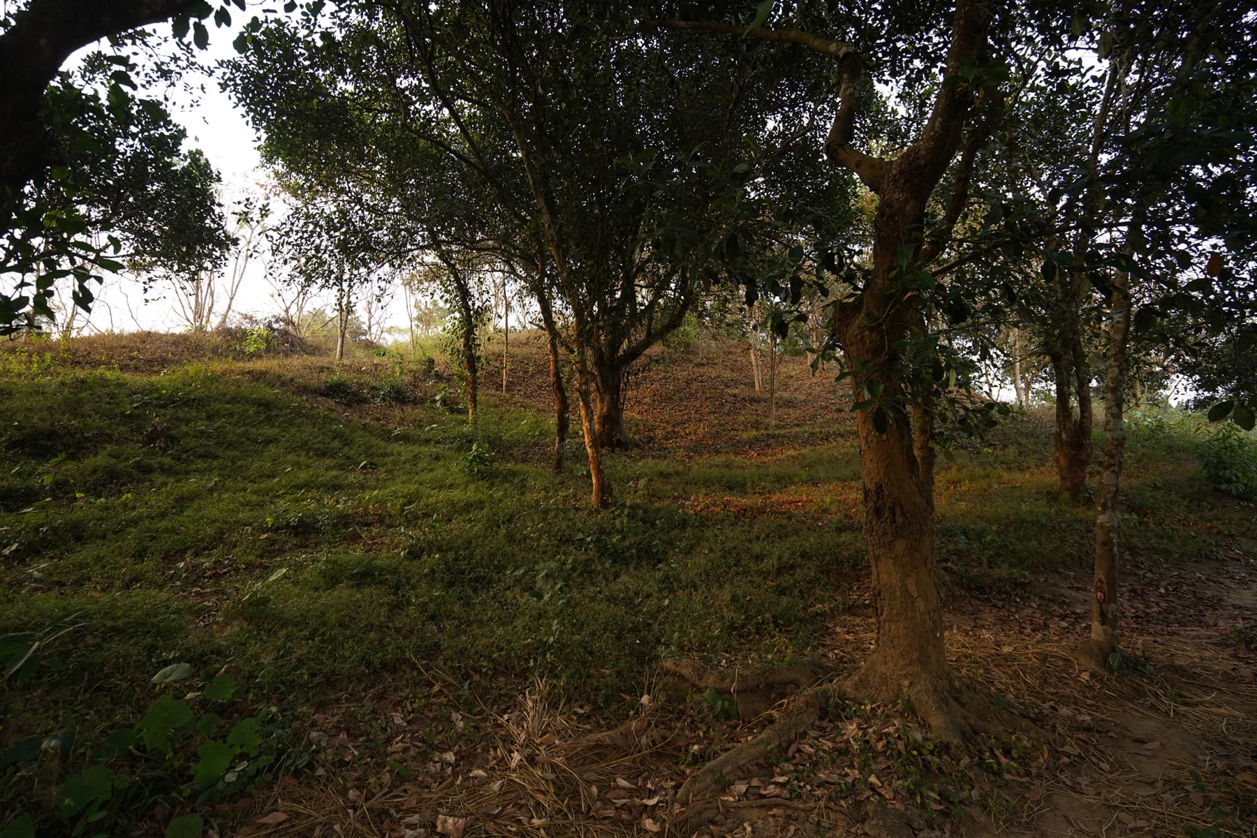 Master Plan Gallery Image 11